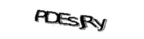 Security check image, please type the characters shown
