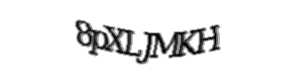 Security check image, please type the characters shown