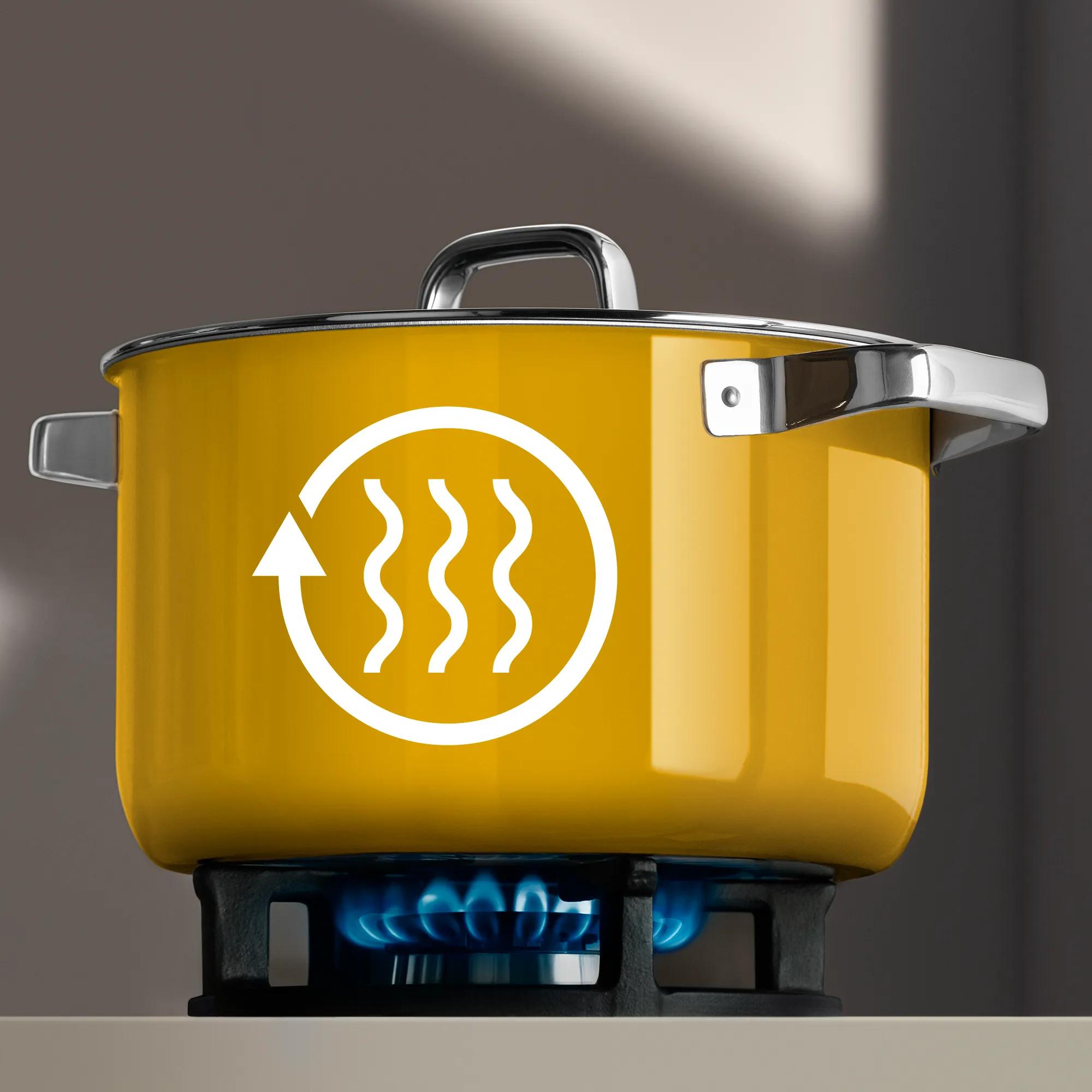 WMF Fusiontec Tencere Seti Mango Sarı 4 Parça