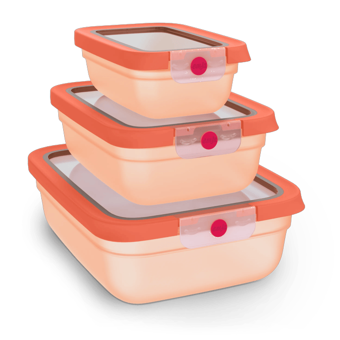 EMSA Tefal Oneclick Frischhaltedosen 3-Teiliges Space Saving Set (0 5 / 1 2 / 2 3 L) N12303 3110601765