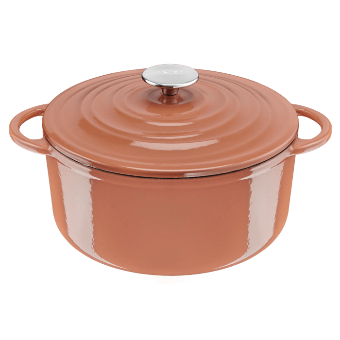 Tefal LOV, Cacerola de 25 cm, Diseño Eco, Incluye Tapa, Terracotta