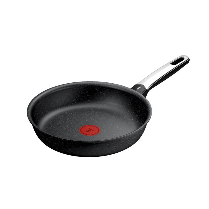Tefal Expertise+, Sartén de 24 cm, Revestimiento antiadherente, Compatible con inducción, 2-3 personas