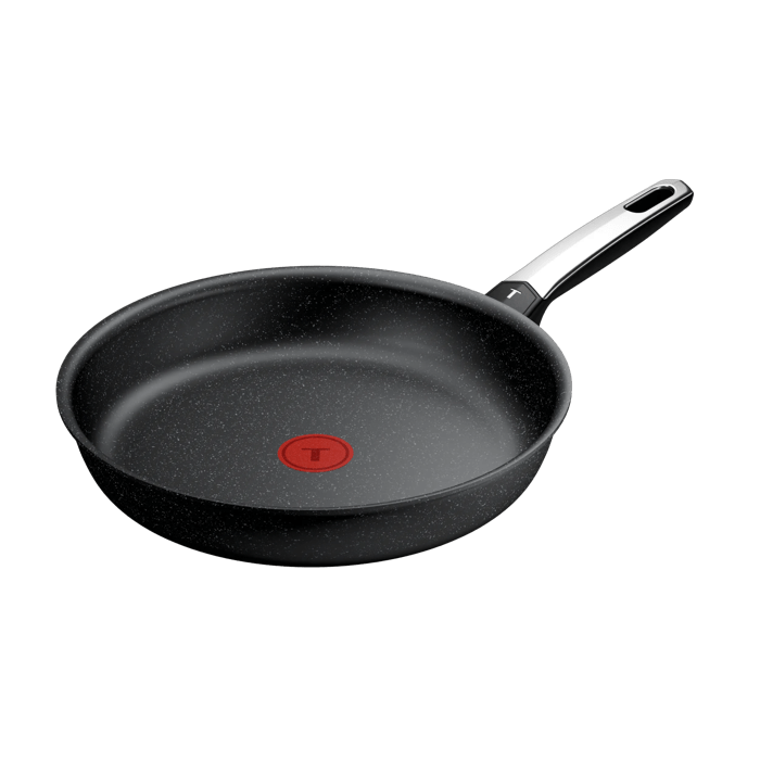 Tefal Expertise+, Sartén de 28 cm, Revestimiento antiadherente, Compatible con inducción, 4-5 personas