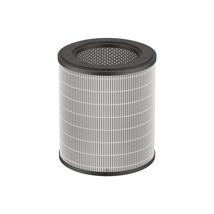 Rowenta Filtro purificador de aire puro Air City XD6280F0