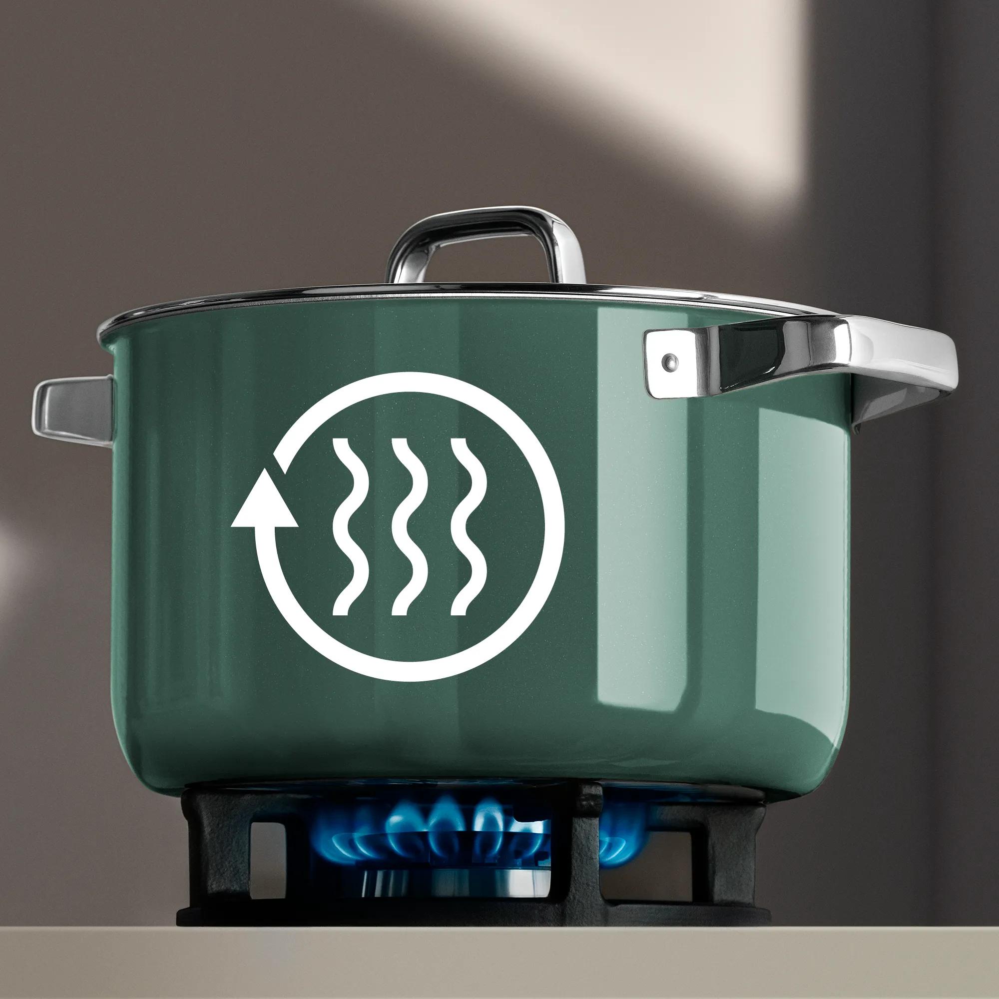 WMF Fusiontec Tencere Seti 4 Parça Okaliptus